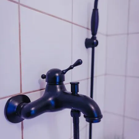 Apartment Do Mastale Trhove Sviny